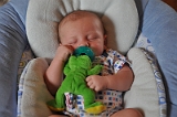 William's Fifth Week 20